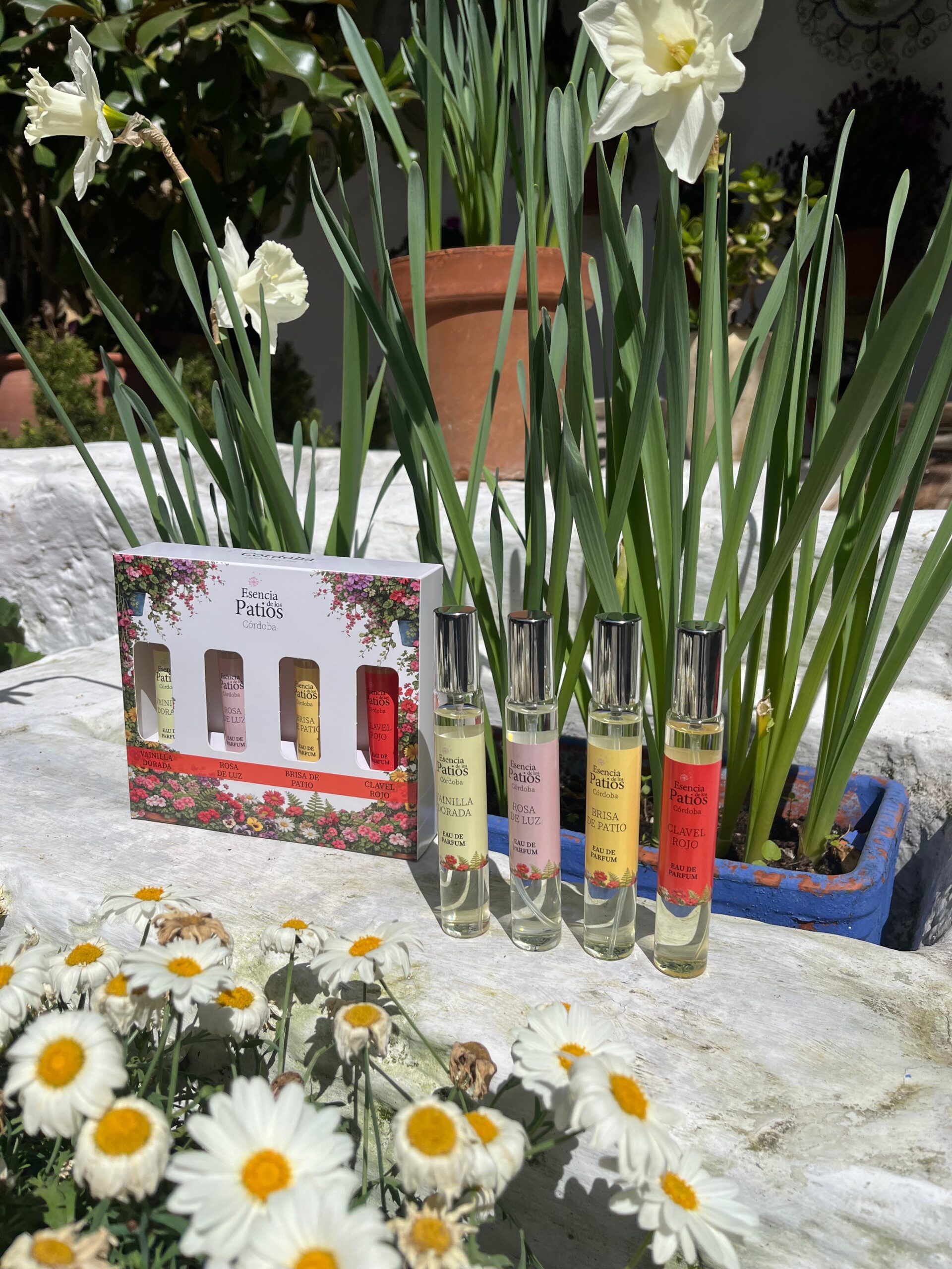 Córdoba Discovery Set